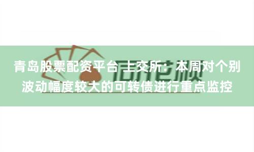 青岛股票配资平台 上交所：本周对个别波动幅度较大的可转债进行重点监控