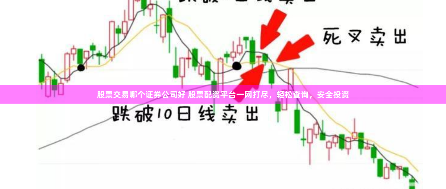 股票交易哪个证券公司好 股票配资平台一网打尽，轻松查询，安全投资