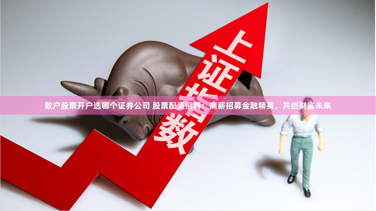 散户股票开户选哪个证券公司 股票配资招聘：高薪招募金融精英，共创财富未来
